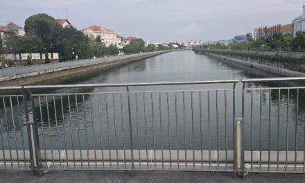 Journey to Fitness Chapter #7.1: Grinding through the second half – Part 1