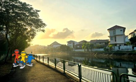 Journey to Fitness Chapter #3.2: Gentlemen, start your engines! – Part 2