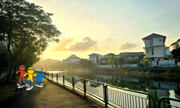 Journey to Fitness Chapter #3.2: Gentlemen, start your engines! – Part 2