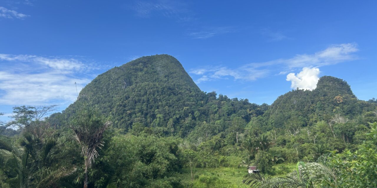 Conquering the Jade Cave: A Silabur 50 Ultra Experience