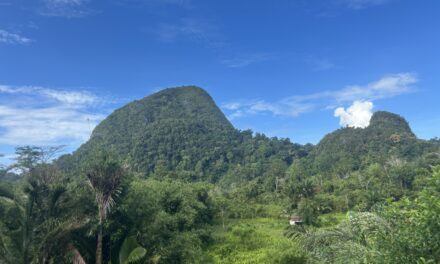 Conquering the Jade Cave: A Silabur 50 Ultra Experience